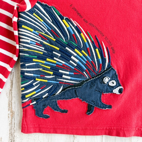 Mini Boden Porcupine Appliqué Red Long Sleeve T-Shirt Striped Boys 2-3 Yrs 98cm - Picture 3 of 7